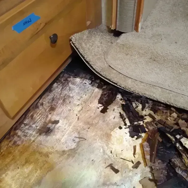 Best Wood Floor Water Damage Service in Blissfield, MI